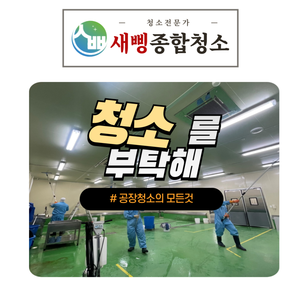 새삥종합청소 경기강원지사 이미지