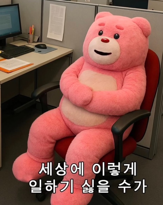 옳바름꼬마김밥 이미지