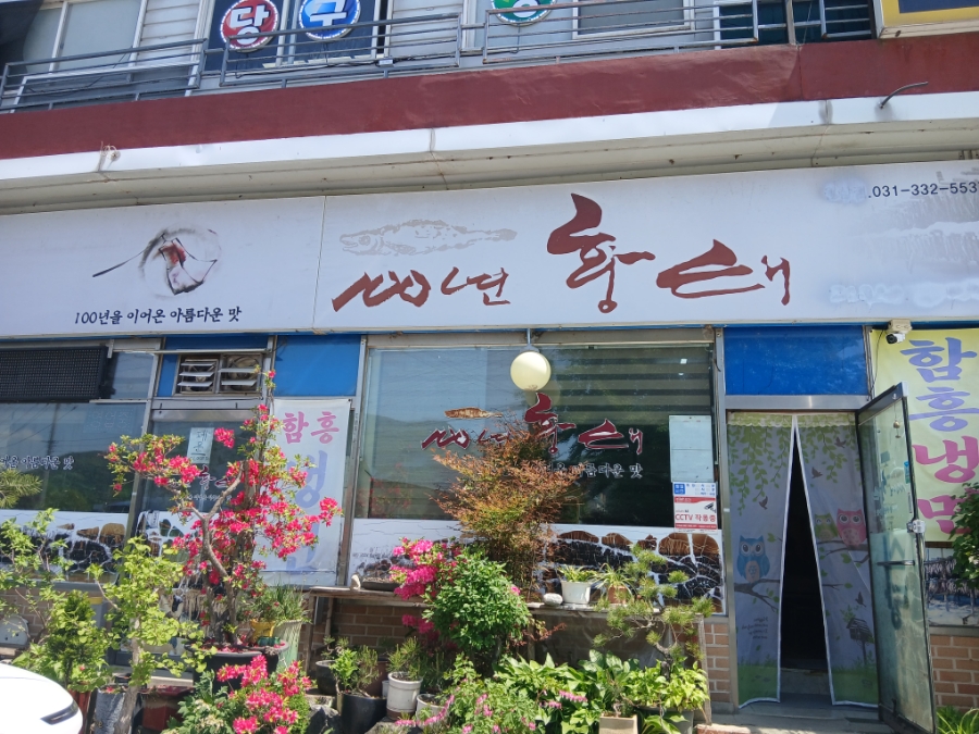 백년황태 이미지