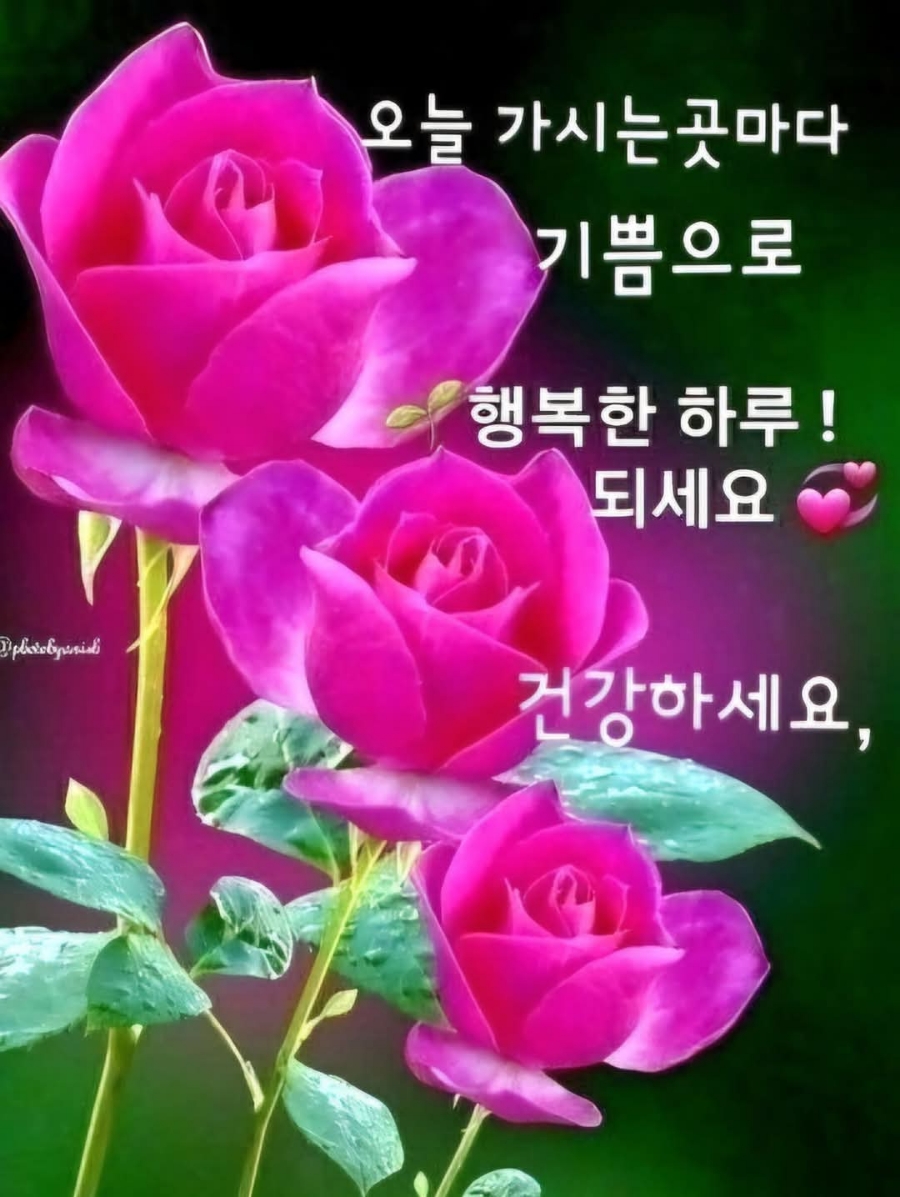 하루포차 이미지