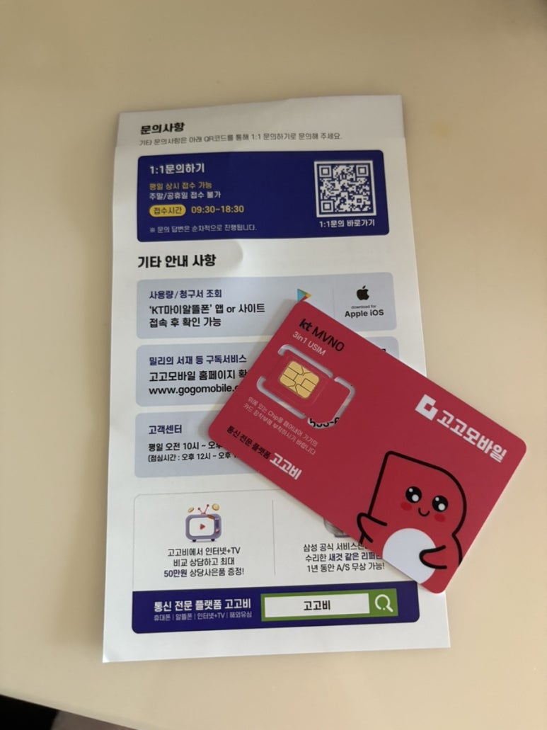모요 이미지