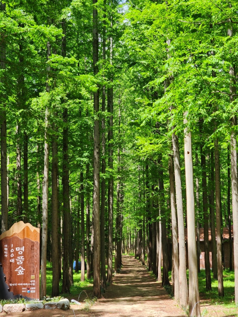 아구동생 이미지