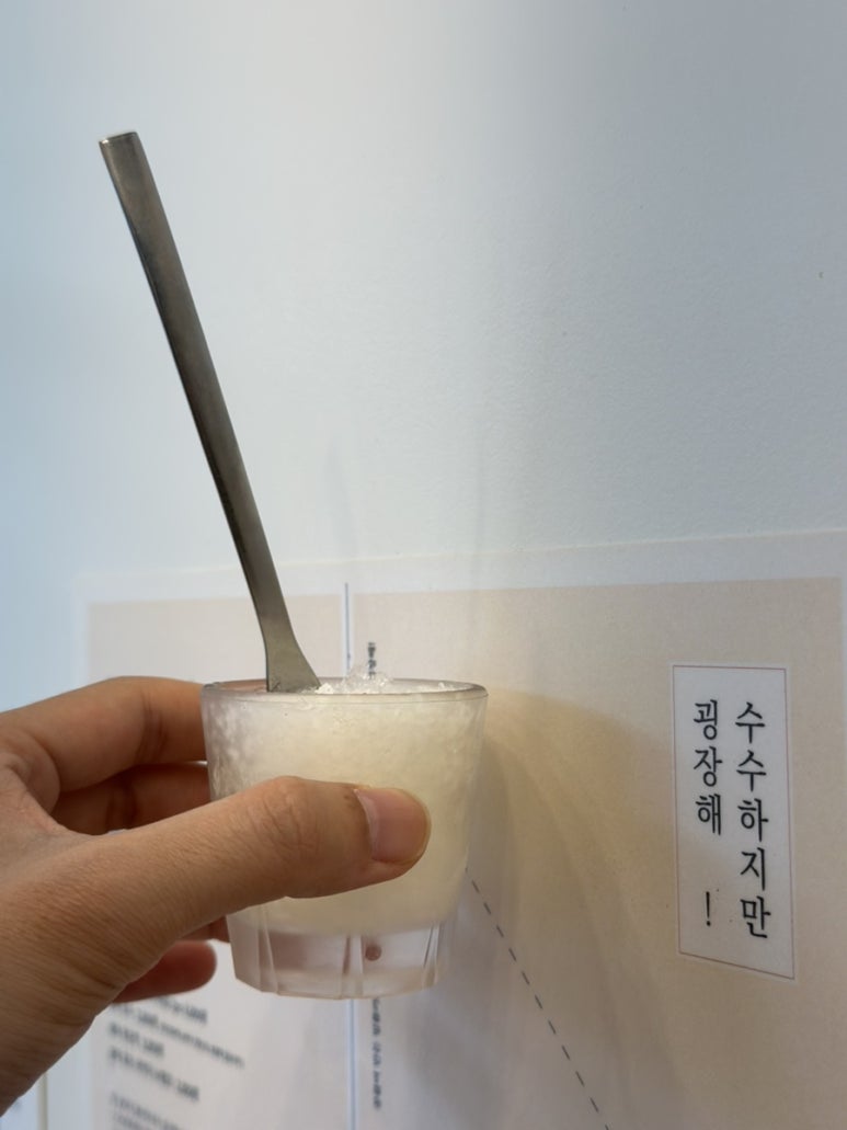 베로티 이미지