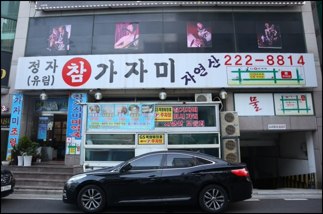 참가자미집 이미지