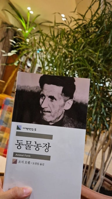손탁 앤 아이허 이미지