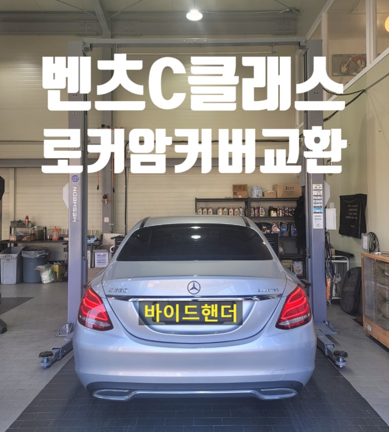 바이드핸더 이미지