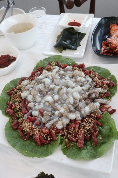 낙지박사 이미지