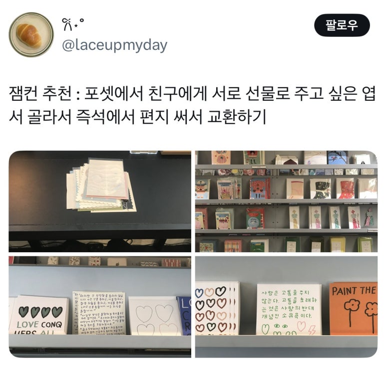 파츄코파라다이스 이미지
