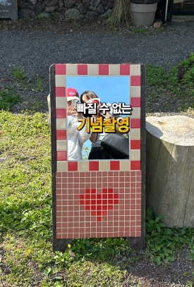 미도리 이미지