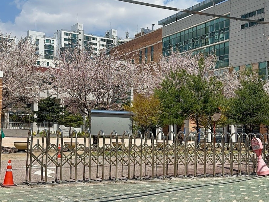 카쩨 이미지