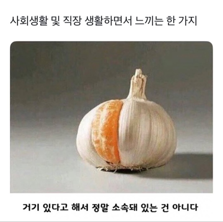 튀김나라 이미지