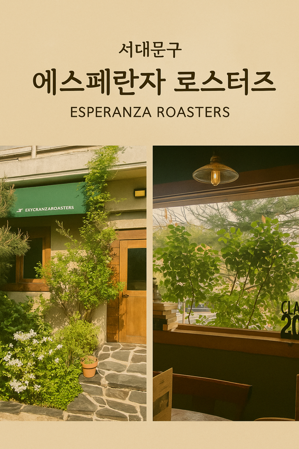 에스페란자 로스터즈 이미지