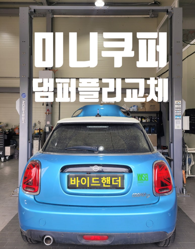 바이드핸더 이미지