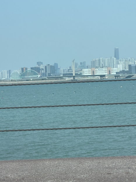 문성5호 이미지