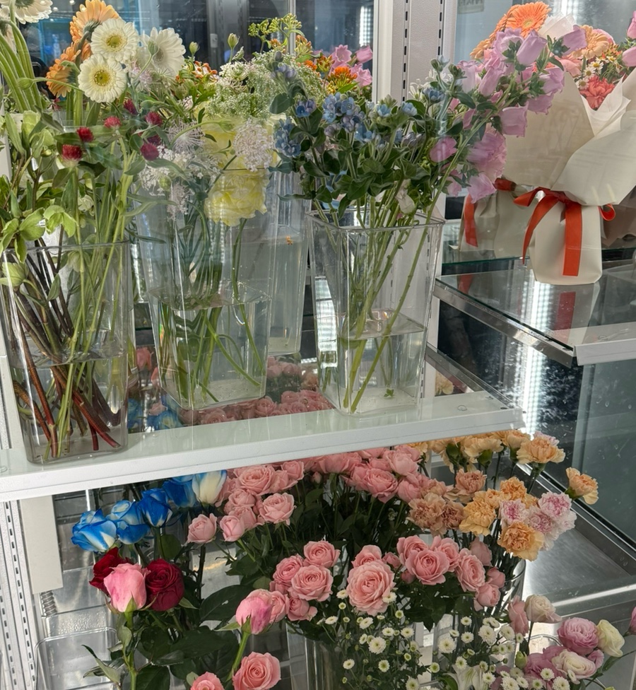 유토아시스 이미지