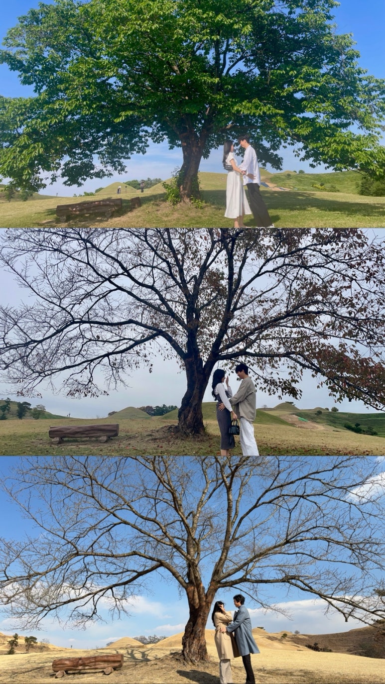 도토나치 이미지