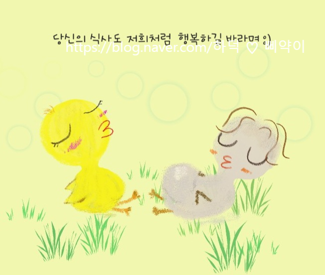 테라다식당 이미지