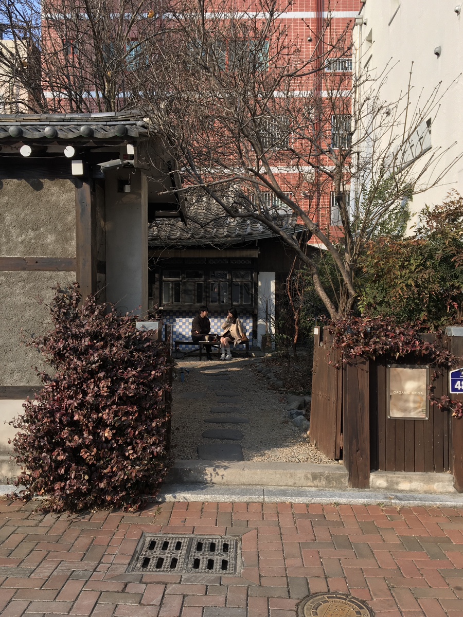 오가닉모가 이미지