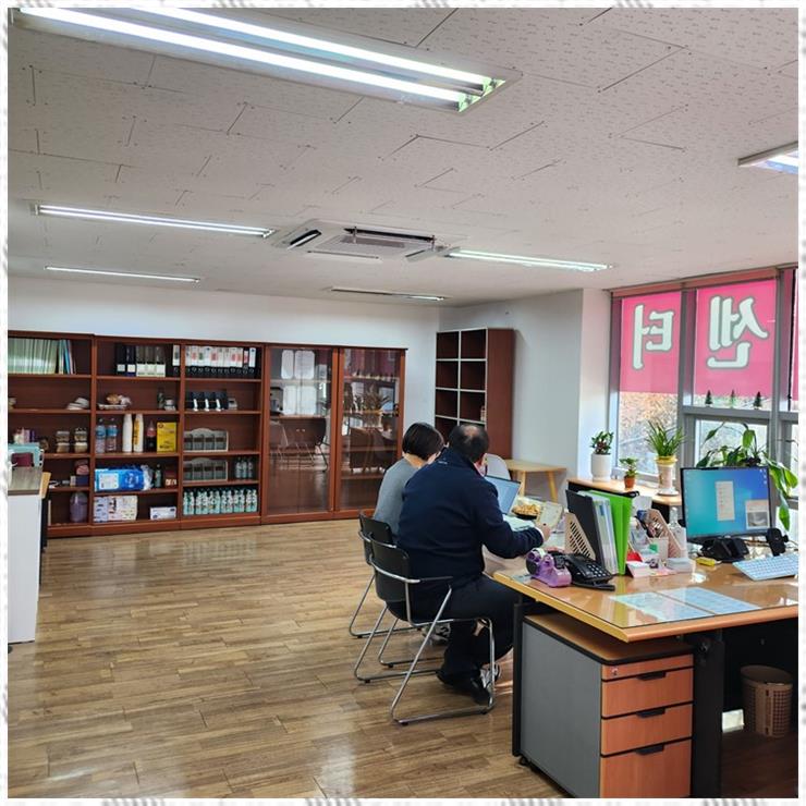선향 이미지