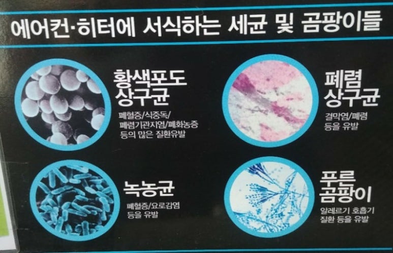 바다랑포도펜션 이미지