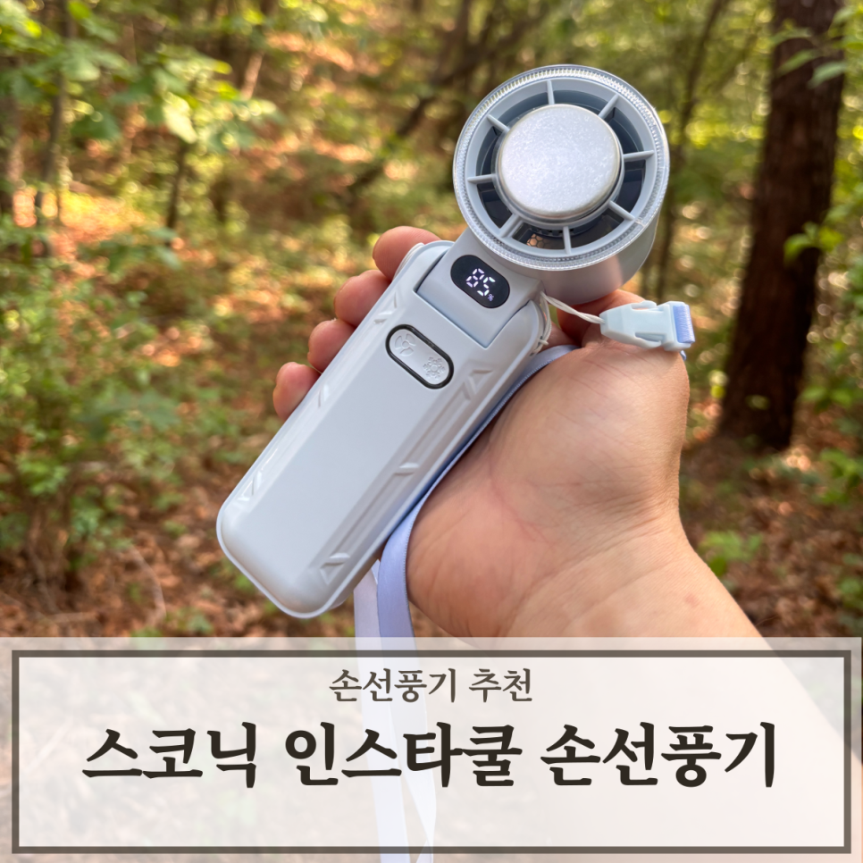스코닉 이미지