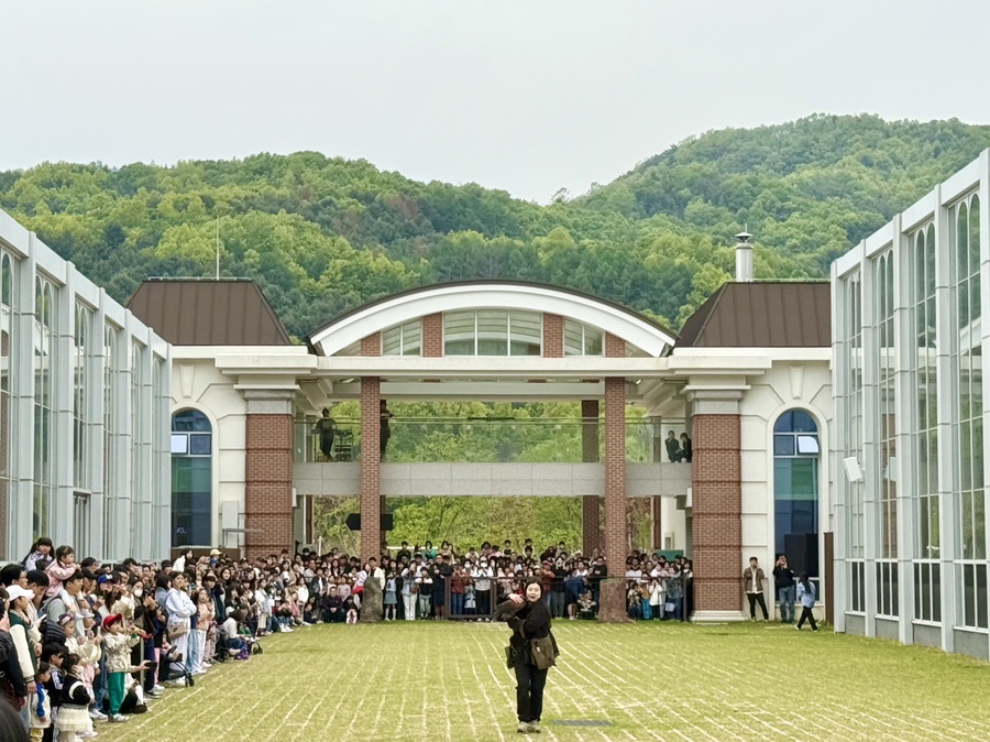 새곳처럼 이미지