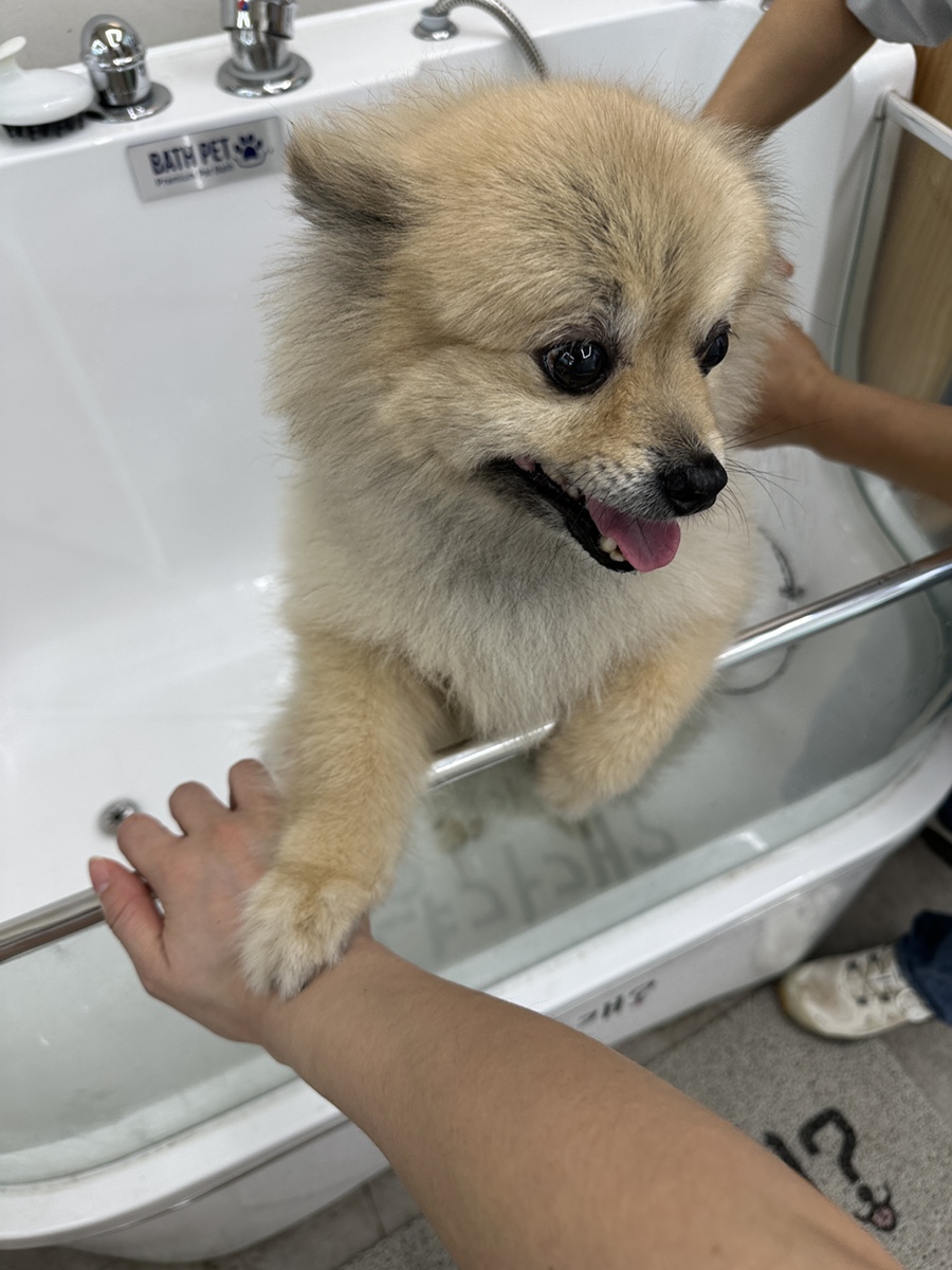 목욕용품점 이미지