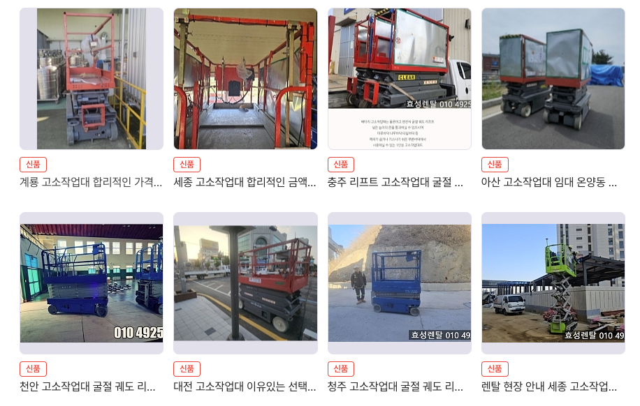 고소작업대세종렌탈 이미지