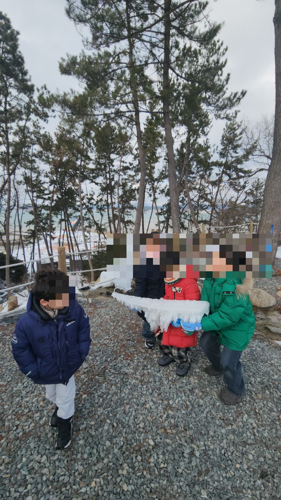 돌마레690 이미지