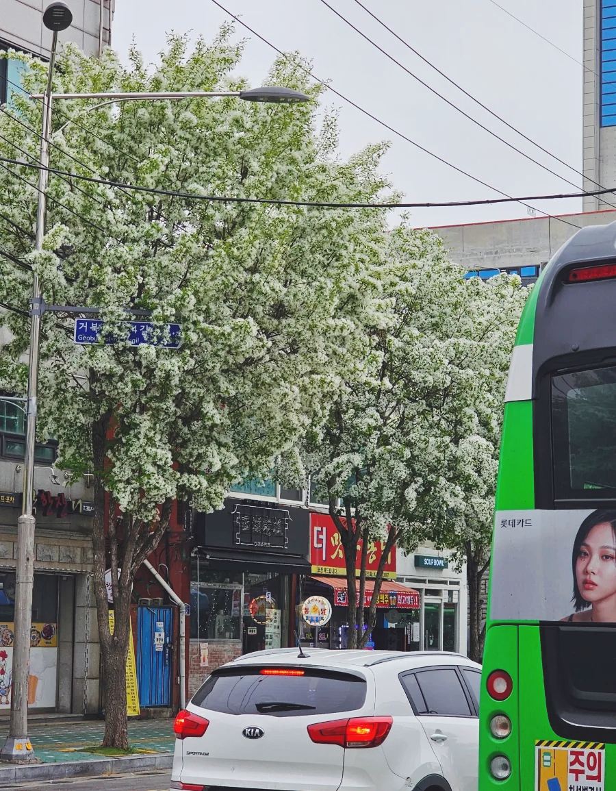 우자매 순대국 이미지