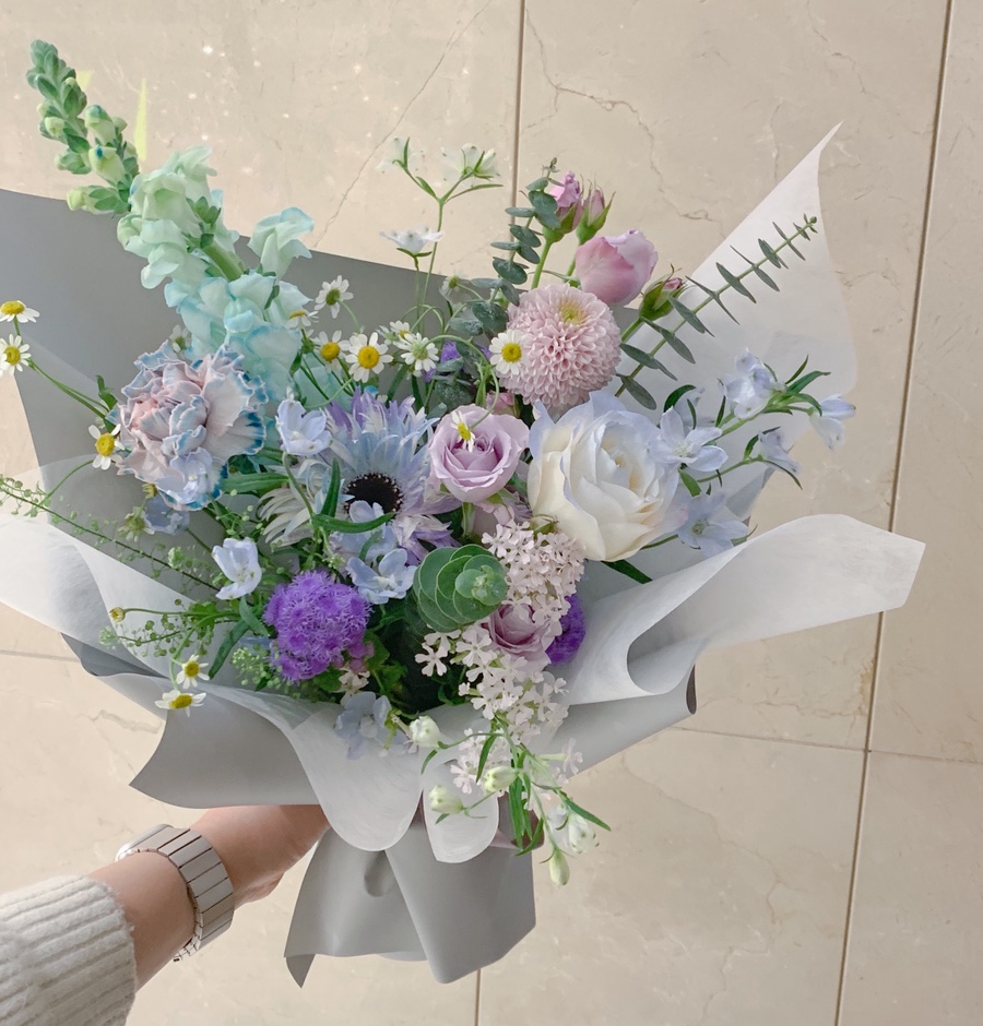 라라네 이미지