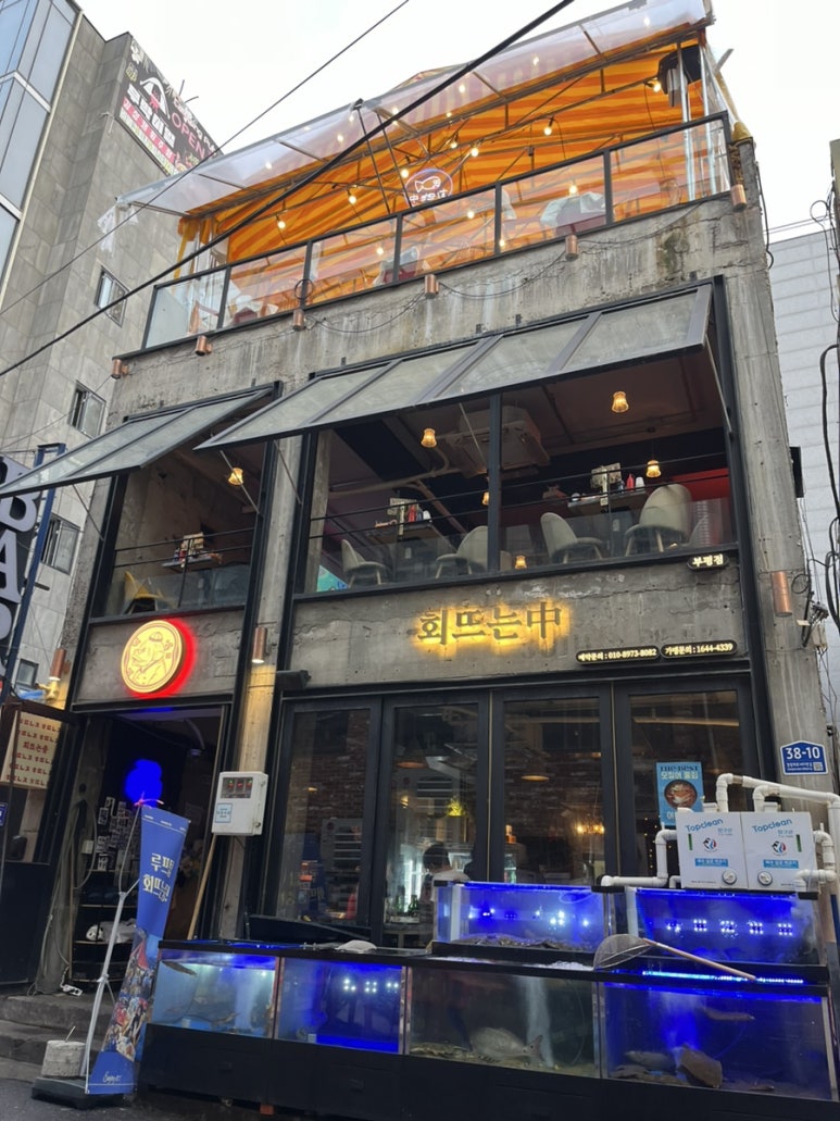 회뜨는중 이미지