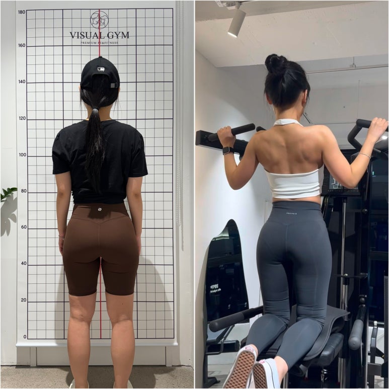 피티바디 이미지