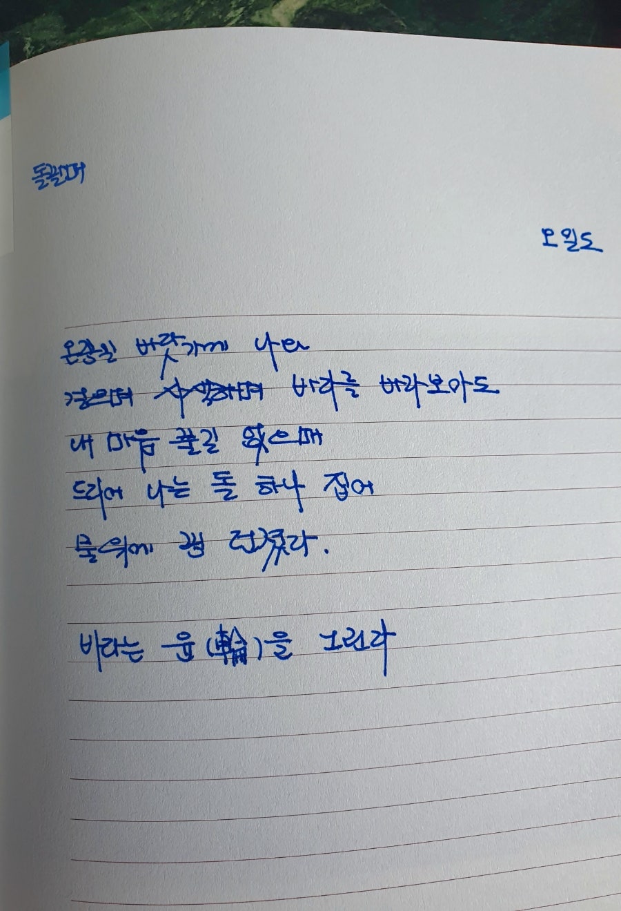 핑시화 이미지