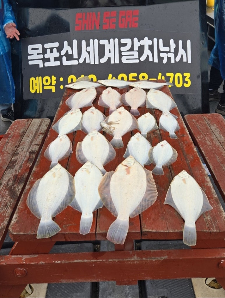 신세계낚시 이미지
