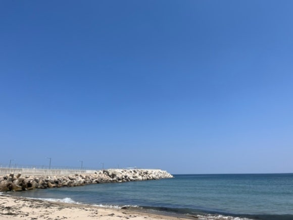 순양호영덕대게직판장 이미지
