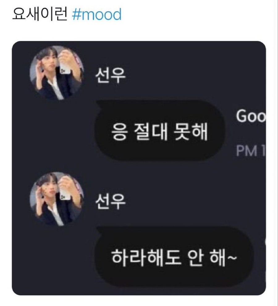 마시떼 이미지
