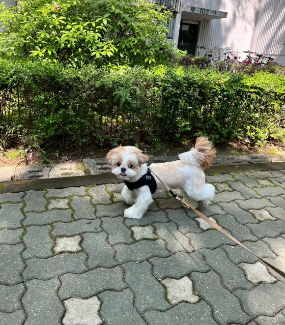 소화유치원 이미지
