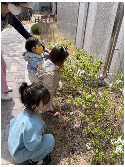 아이비어린이집 이미지
