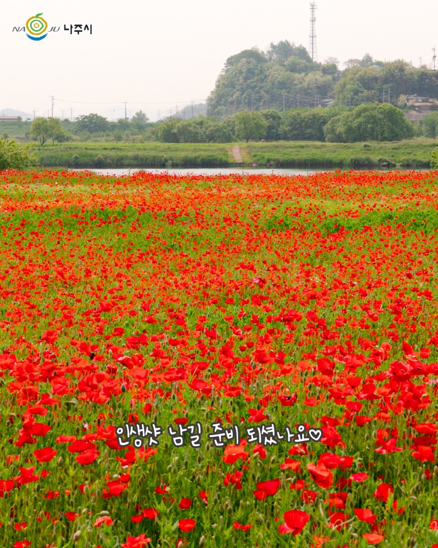 영산포한우 이미지
