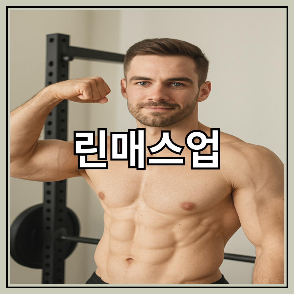 린바디핏 이미지