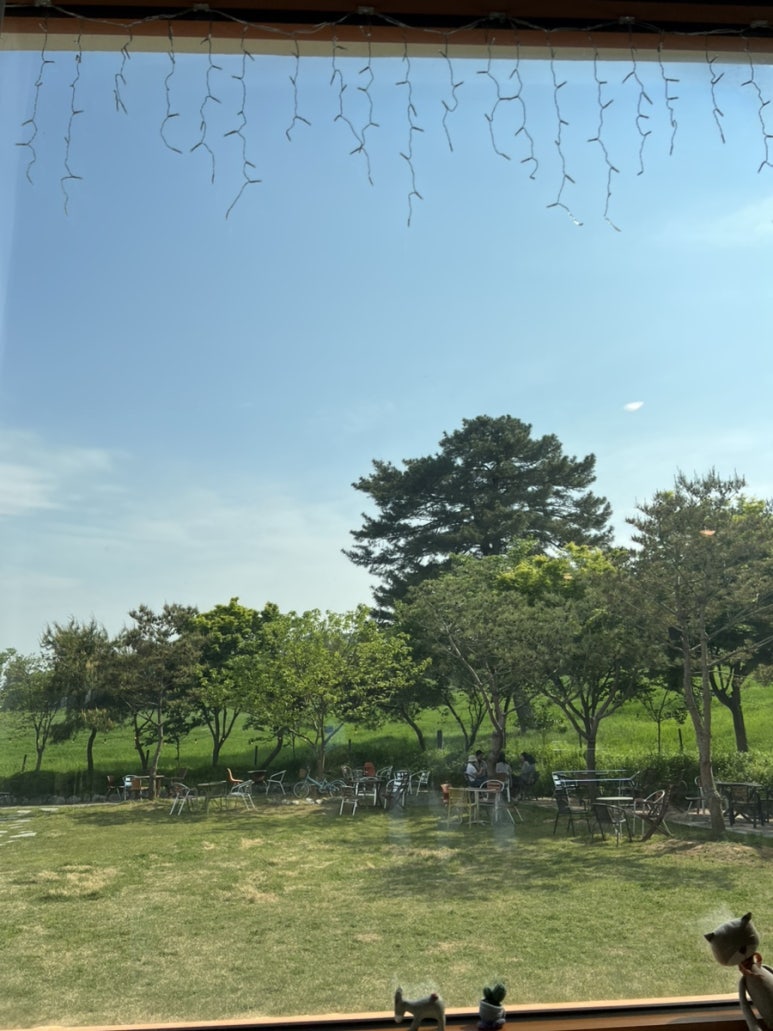 당나귀를부탁해 이미지