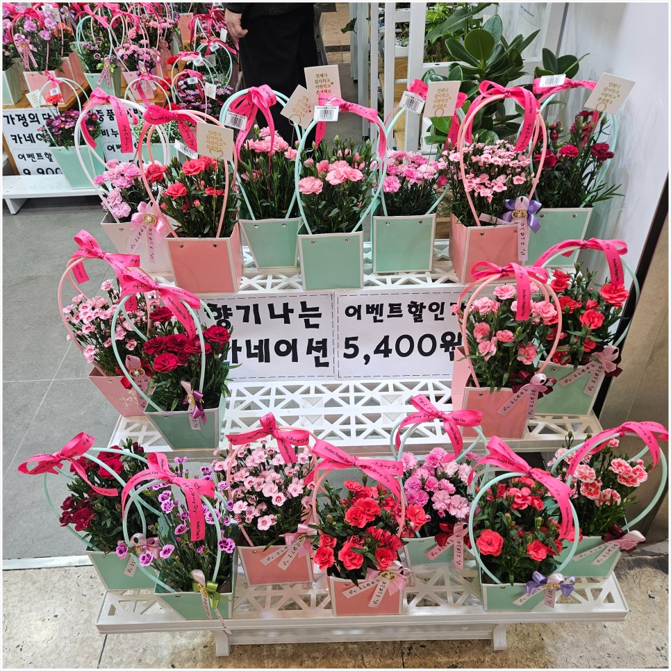 도우미꽃식물원 이미지