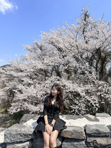 카페다보소 이미지