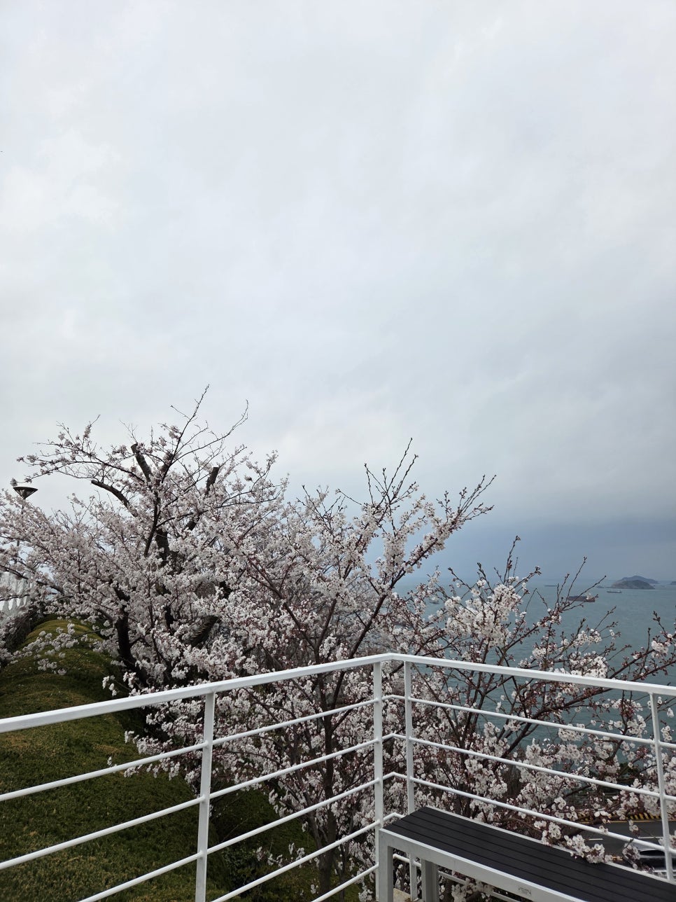 카페플라노 이미지