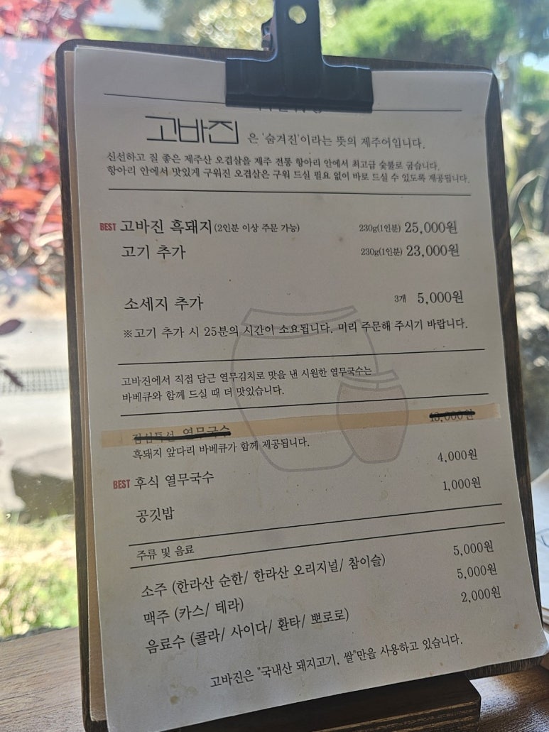 고바진 이미지