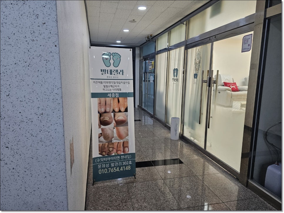 발데렐라 이미지