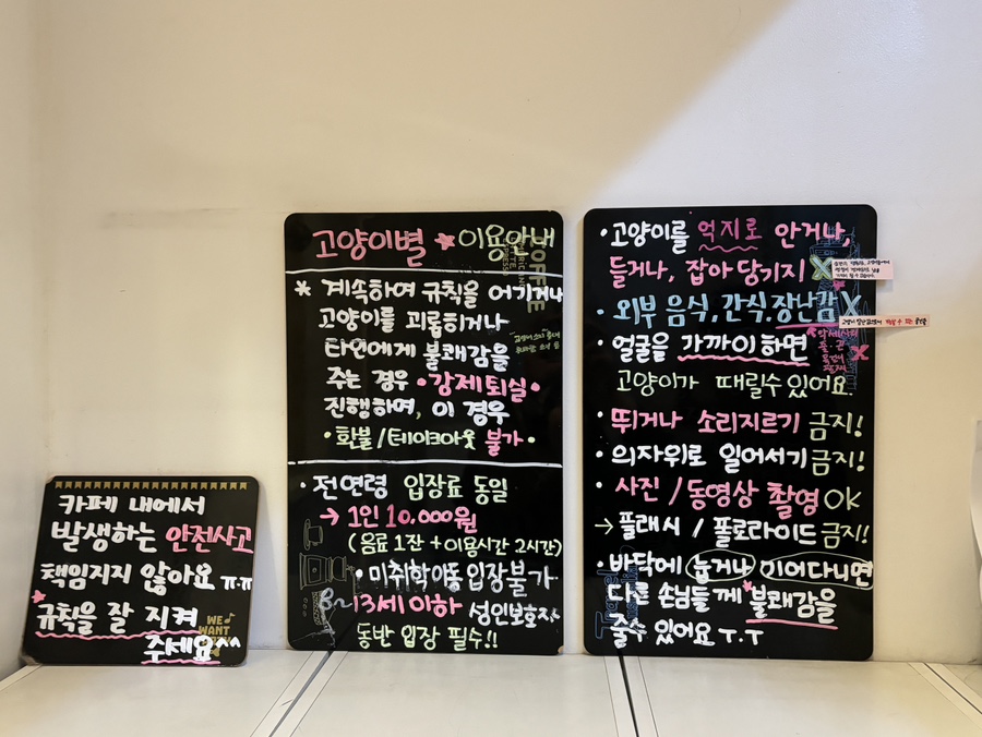 고양이별캣카페 이미지