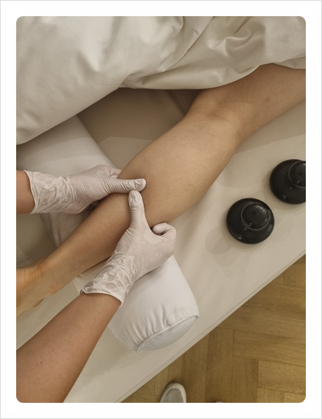 선에스테스파 이미지