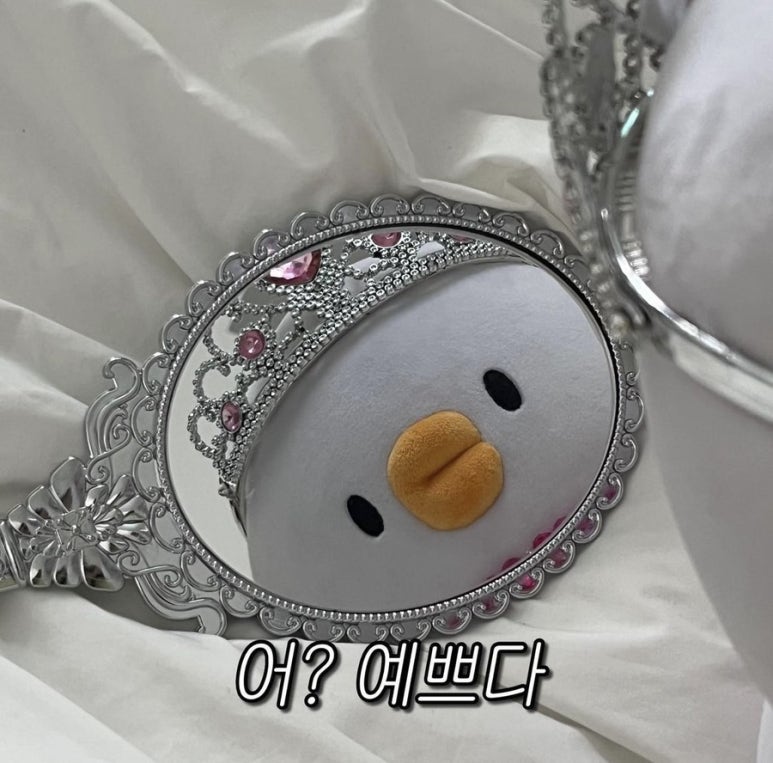 후네일 이미지